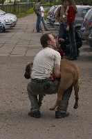 CRW_3987.jpg