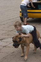 CRW_4061.jpg