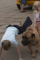 CRW_4063.jpg