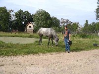 09.jpg