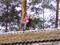114.JPG