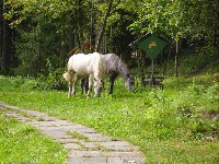 127.JPG