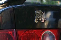 IMG_7205-01.jpg