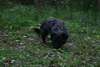 IMG_7218-01.jpg