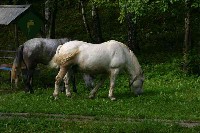 IMG_7514-01.jpg