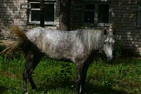 IMG_7530-01.jpg