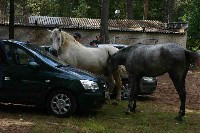 IMG_7535-01.jpg