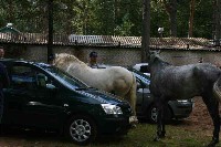 IMG_7538-01.jpg