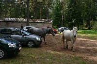 IMG_7544-01.jpg