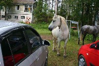 IMG_7546-01.jpg
