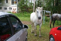 IMG_7547-01.jpg