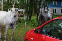 IMG_7550-01.jpg
