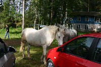 IMG_7552-01.jpg