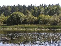 P1010022.JPG