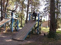 P1010025.JPG