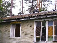 P1010083.JPG