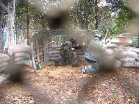 003.jpg