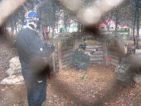 020.jpg