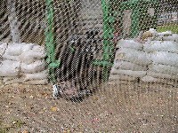DSC01111.JPG