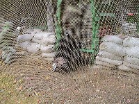 DSC01112.JPG