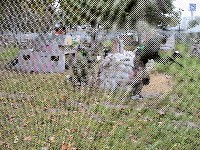 DSC01117.JPG