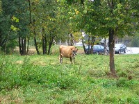 IMG_0494.jpg