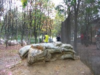 IMG_0527.jpg
