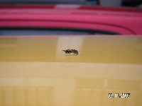 PICT0024.JPG