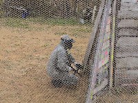 DSC01274.JPG