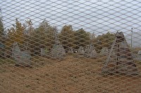 DSC04490.JPG