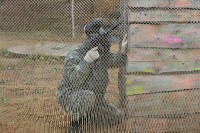 DSC04504.jpg