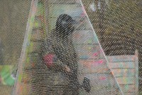 DSC04508.jpg