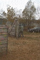 DSC04509.jpg