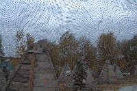 DSC04522.jpg