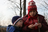 IMG_7036.JPG