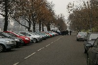 IMG_5019.JPG