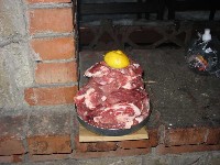 IMG_0847.JPG
