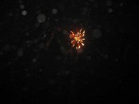 IMG_0941.JPG