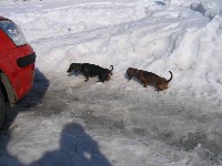 IMG_0965.jpg