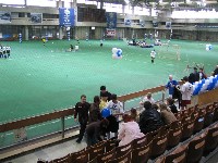 IMG_1048.jpg