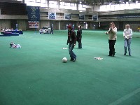 IMG_1050.jpg