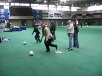 IMG_1051.jpg