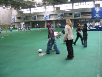 IMG_1054.jpg